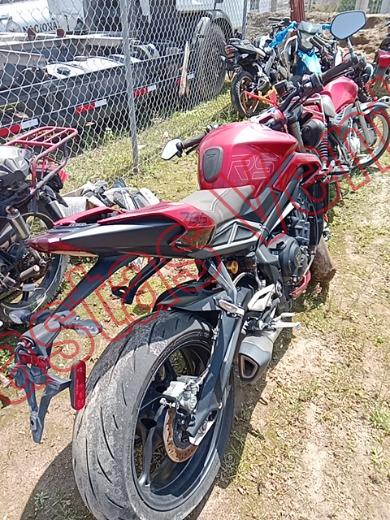TRIUMPH STREET TRIPLE RS 2024, foto 5 de 19