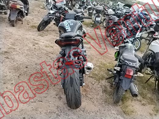 KAWASAKI Z900 2025, foto 6 de 19