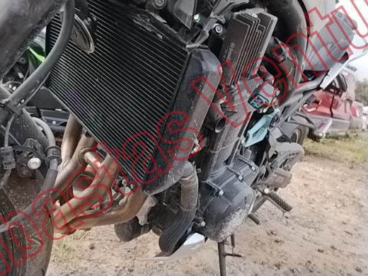 KAWASAKI Z900 2025, foto 10 de 19
