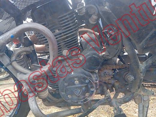 ITALIKA DM 250 2024, foto 9 de 19