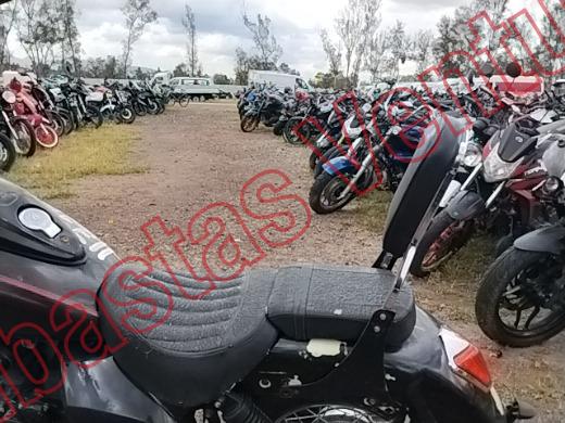 ITALIKA TC250 2022, foto 16 de 19
