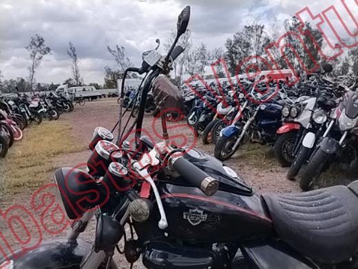 ITALIKA TC250 2022, foto 17 de 19