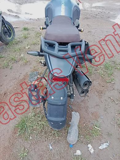 VENTO SCREAMER 2026, foto 6 de 19