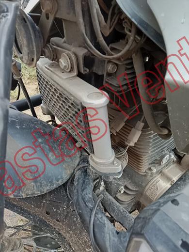 VENTO SCREAMER 2026, foto 10 de 19