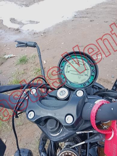 VENTO SCREAMER 2026, foto 14 de 19
