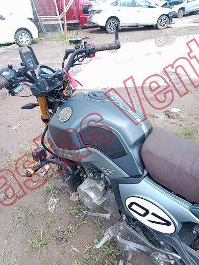 VENTO SCREAMER 2026, foto 17 de 19