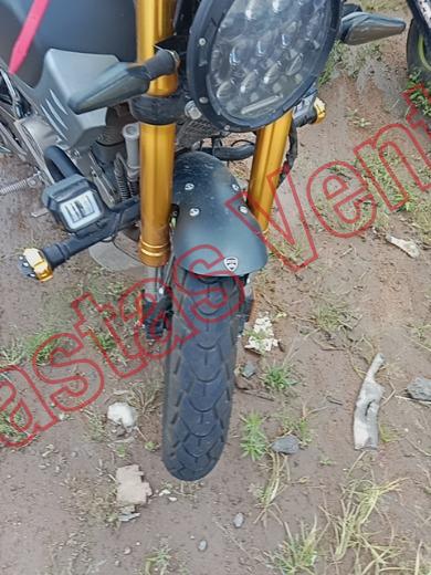 VENTO SCREAMER 2026, foto 18 de 19