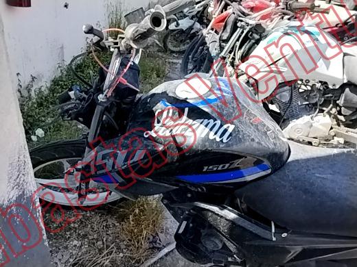 ITALIKA 150Z 2025, foto 17 de 19