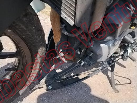 CF MOTO 250SR 2024, foto 10 de 19