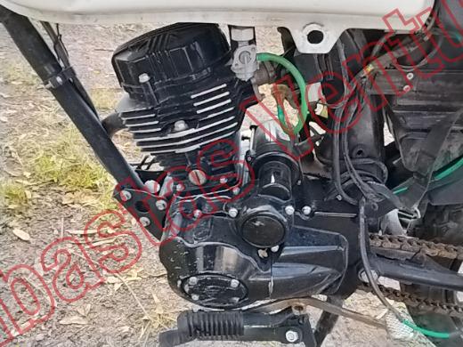 ITALIKA DT125 2022, foto 9 de 19