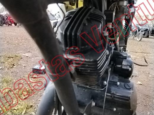ITALIKA DT125 2022, foto 10 de 19