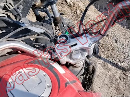 ITALIKA FT250 2024, foto 14 de 19