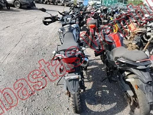ITALIKA DM 250 2024, foto 6 de 19