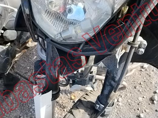 ITALIKA DM 250 2024, foto 18 de 19