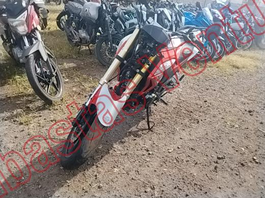 CAREBELA VECTOR 2019, foto 1 de 19