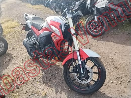 CAREBELA VECTOR 2019, foto 3 de 19