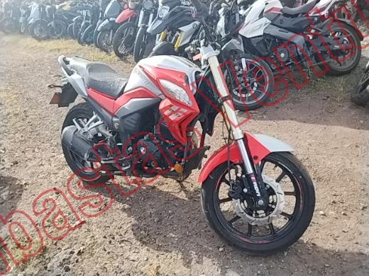 CAREBELA VECTOR 2019, foto 4 de 19