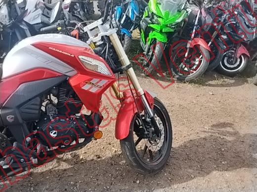 CAREBELA VECTOR 2019, foto 12 de 19