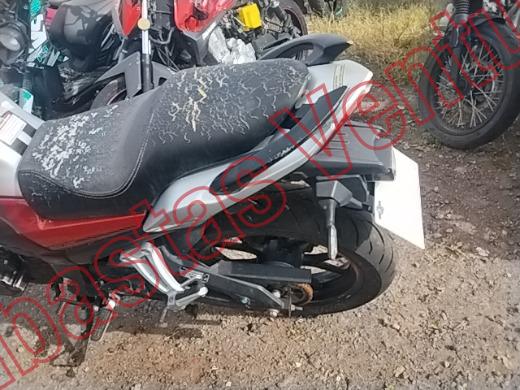 CAREBELA VECTOR 2019, foto 16 de 19