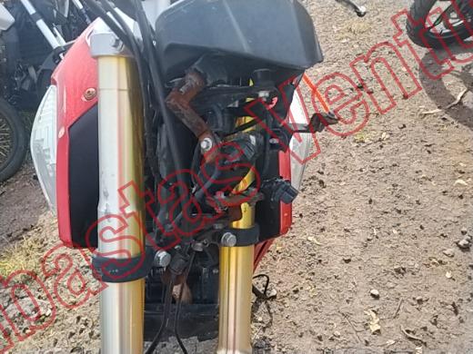CAREBELA VECTOR 2019, foto 18 de 19