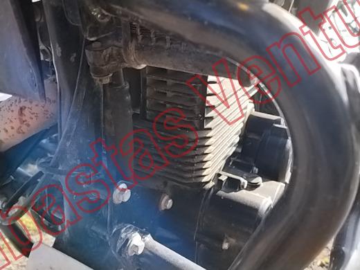 ITALIKA DM300 2025, foto 10 de 19