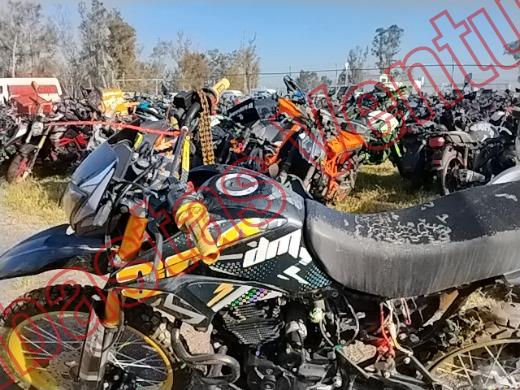 ITALIKA DM300 2025, foto 17 de 19