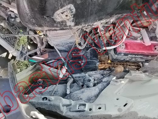 ITALIKA 250 Z 2023, foto 9 de 19