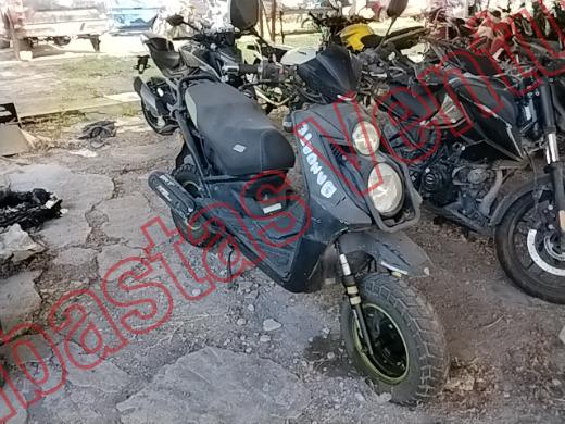 VENTO TERRA 2024, foto 3 de 19