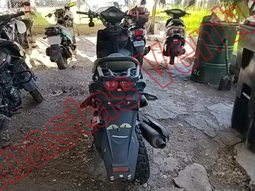 VENTO TERRA 2024, foto 6 de 19