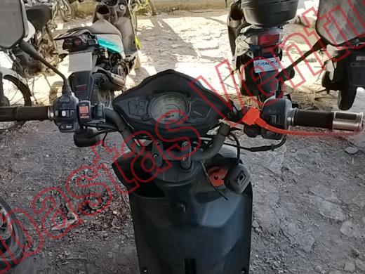 VENTO TERRA 2024, foto 14 de 19