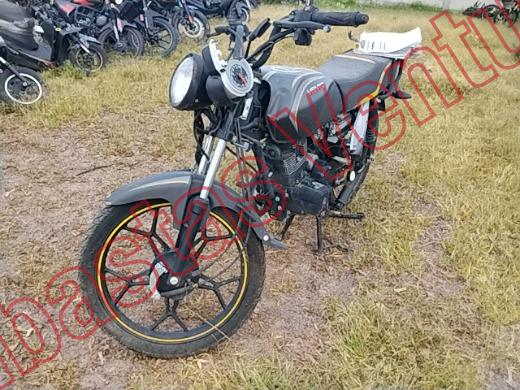 VENTO XPRESS 2025, foto 1 de 19