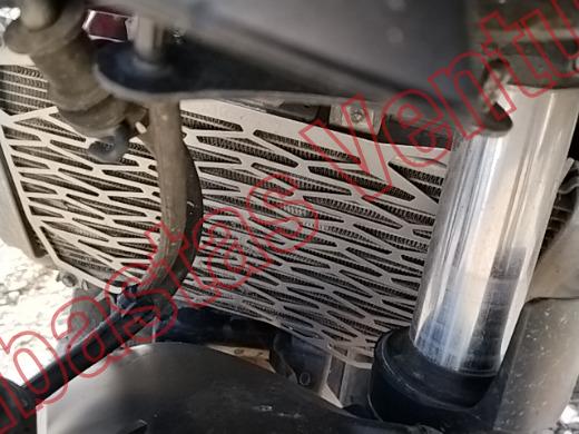 KAWASAKI Z 2025, foto 10 de 19