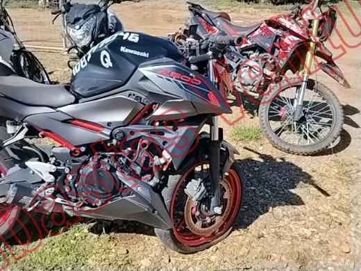 KAWASAKI Z 2025, foto 12 de 19