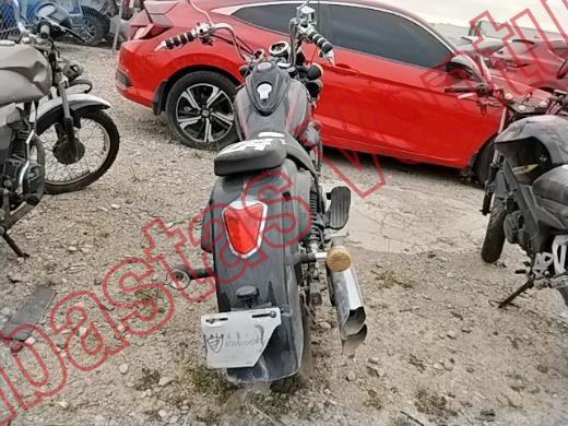 ITALIKA TC250 2020, foto 6 de 19