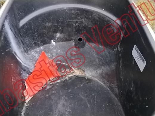 ITALIKA WS150 2019, foto 15 de 19
