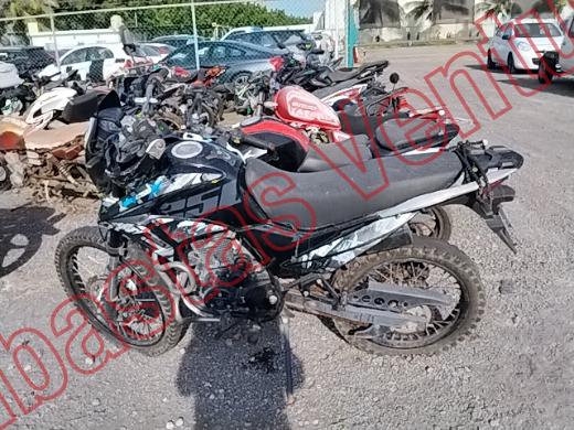 ITALIKA DM 250 2024, foto 8 de 19