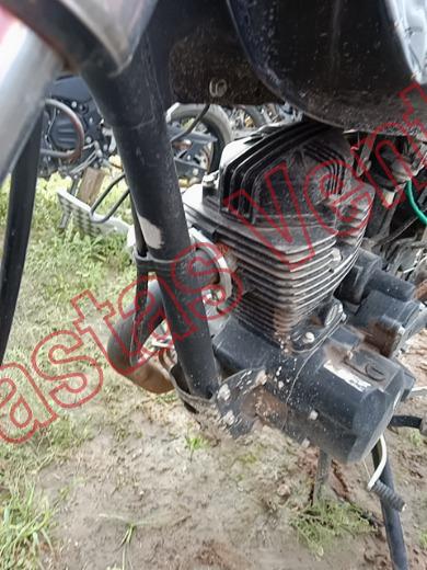 ITALIKA FT150 2024, foto 10 de 19