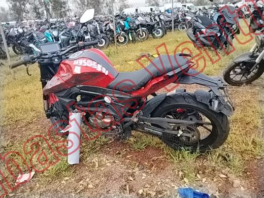 ZMOTO CRX  2026, foto 8 de 19