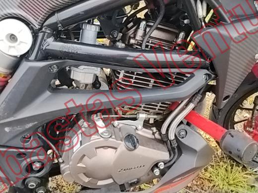 ZMOTO CRX  2026, foto 11 de 19