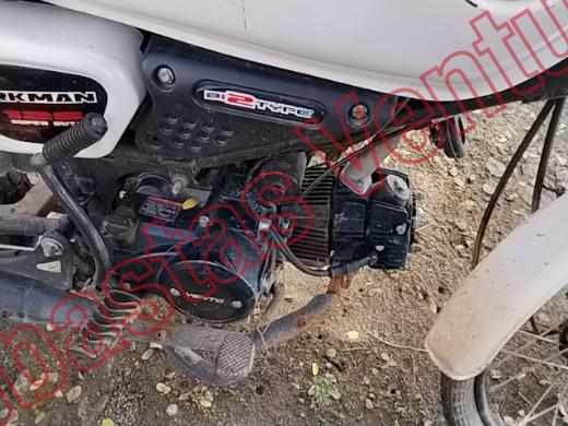 VENTO WORKMAN 2022, foto 11 de 19