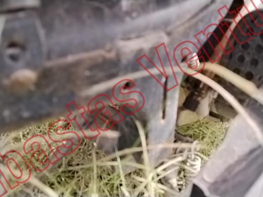 ITALIKA WS150 2026, foto 10 de 19