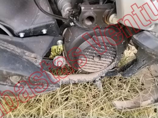 ITALIKA WS150 2026, foto 11 de 19