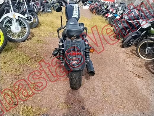 HARLEY DAVIDSON XL883N 2016, foto 6 de 19