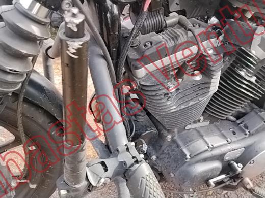 HARLEY DAVIDSON XL883N 2016, foto 10 de 19
