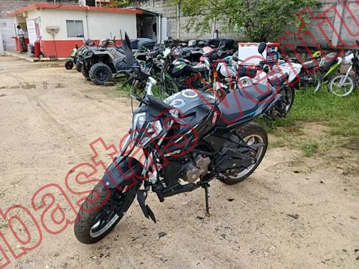 VENTO STORM 2026, foto 1 de 19