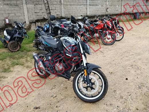 VENTO STORM 2026, foto 3 de 19