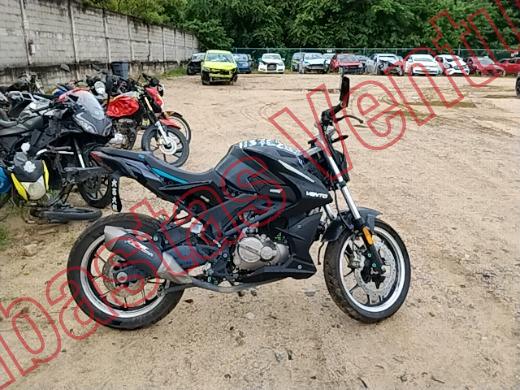VENTO STORM 2026, foto 12 de 19