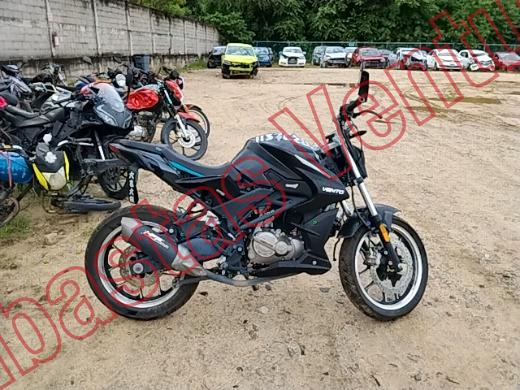 VENTO STORM 2026, foto 13 de 19