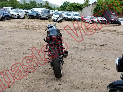 VENTO STORM 2026, foto 15 de 19