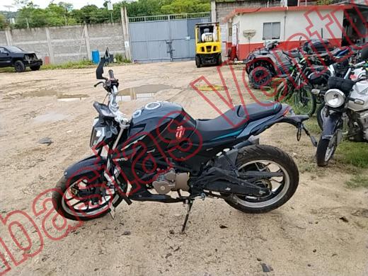 VENTO STORM 2026, foto 16 de 19